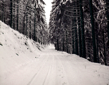 Thüringer Winterwald
