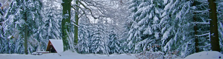 Thüringer Wald im Winter